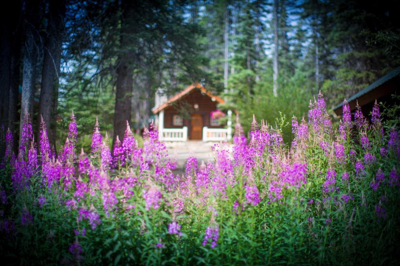 Storm Mountain Lodge & Cabins Banff Exterior photo